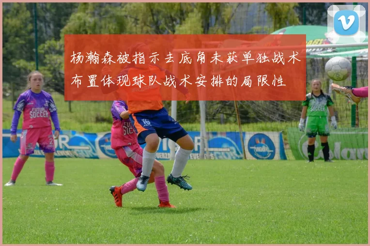 杨瀚森被指示去底角未获单独战术布置体现球队战术安排的局限性