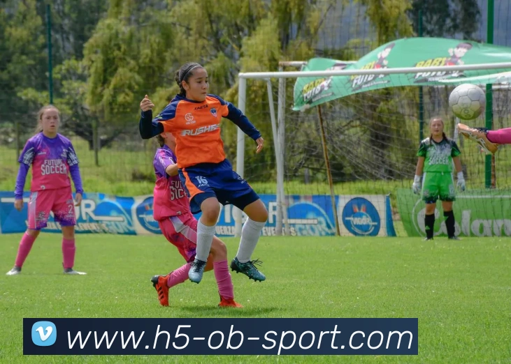 OB体育品牌故事