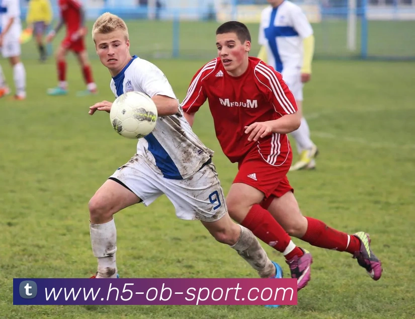 OB体育服务体系